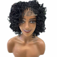 Micro 2 Strand Twist Wig-D.D. Daughters Lace Wig Beautique