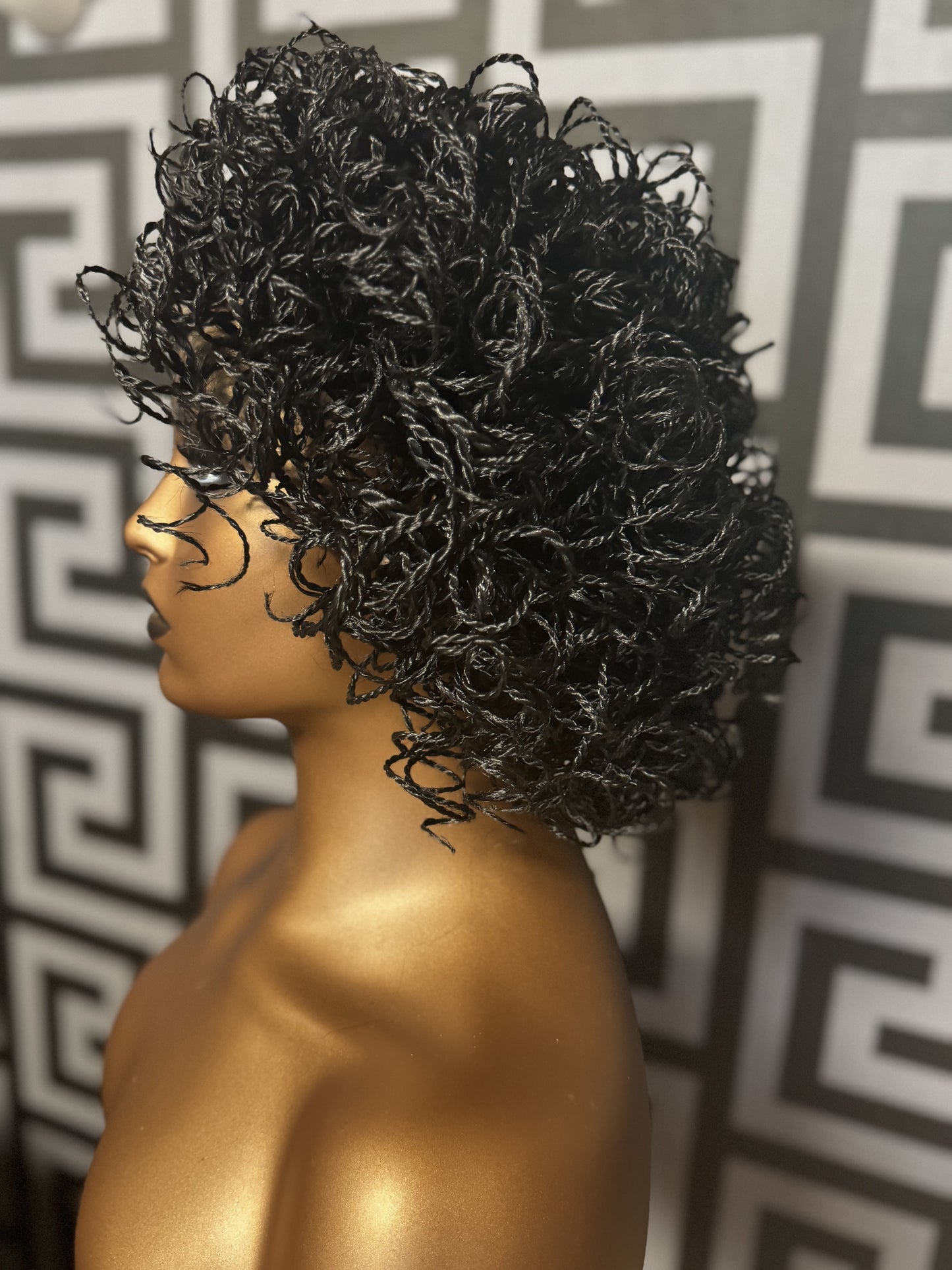 Micro 2 Strand Twist Wig-D.D. Daughters Lace Wig Beautique